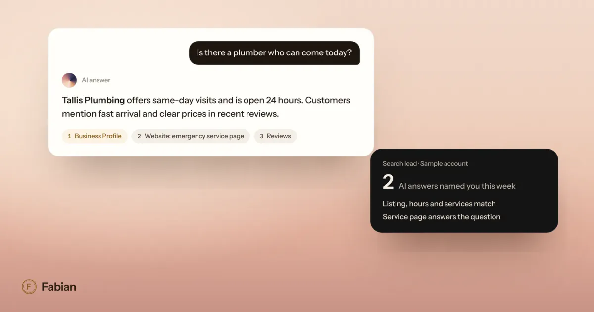 AI answer naming a local plumber with cited sources
